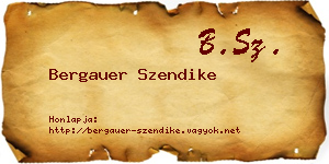 Bergauer Szendike névjegykártya